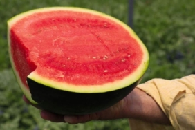 karpuz-cekirdeklerini-sakin-atmayin-hic-bilmiyorduk-bu-ise-yaradigini-SPjAMmUD.jpg