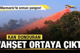 marmariste-orman-yangini-kan-donduran-vahset-ortaya-cikti-BP8lxpHU.jpg