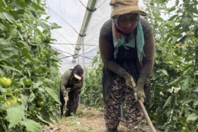 tarim-iscileri-45-dereceyi-asan-sicaklikta-seralarda-is-basinda-yazin-gunesten-basimiz-kaynamazsa-kisin-tenceremizin-kaynamaz-znh9weez.jpg