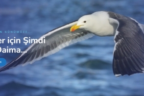 4 haberiniz.com.tr okeanos_tercume_burosu