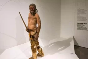 64ddbb27ae0a8f1250dd00fc