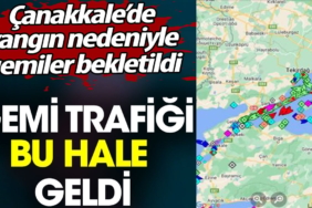 canakkale-bogazinda-gemi-trafigi-bu-hale-geldi-yangin-nedeniyle-gemiler-bekletildi-gYbnDJQf.jpg
