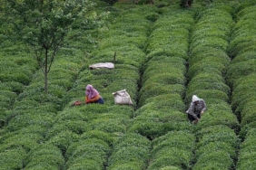 karadenizde-buharlasma-artiyor-cay-findik-misir-tehlikede-aUChhOVC.jpg