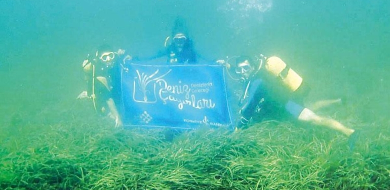 Deniz çayırlarına koruma kalkanı