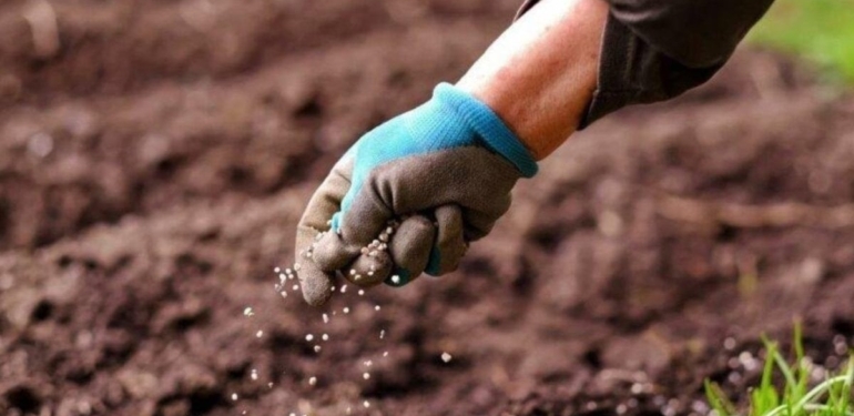 Gübre fiyatları altınla yarışıyor