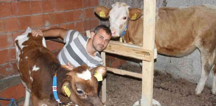 Danalarına liderlerin isimlerini verdi: ‘İşgalci olana Netanyahu dedim’