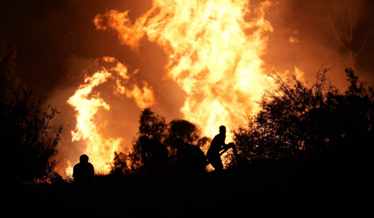 Dünya akciğerlerini kaybediyor: İşte son yılların en büyük orman yangınları