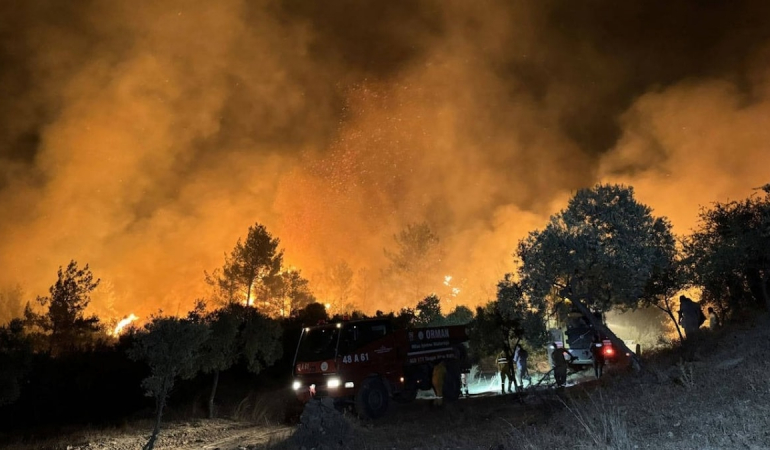 Türkiye yanıyor! NASA verileri: 5 bin 19 hektar alan yangından etkilendi