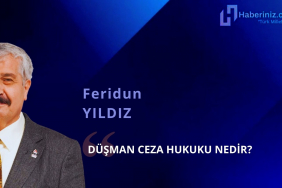 FERİDUN YILDIZ