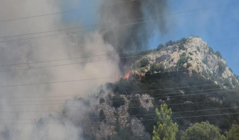 Bodrum alev alev yanıyor: 2 bin 500 kişi tahliye edildi