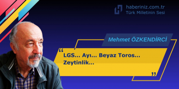 Mehmet Özkendirci