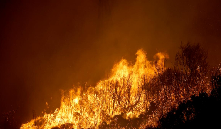 Alevler içindeki İzmir’de Bakanlıktan belediyeye uçak reddi
