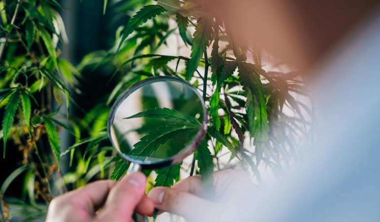 Türkiye Afganistan mı oluyor?