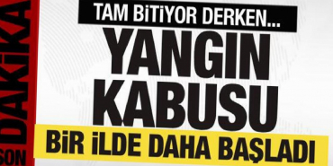 yanginlarla-mucadele-suruyor-alevler-bir-ili-daha-sardi-W4aQlgaG.jpg