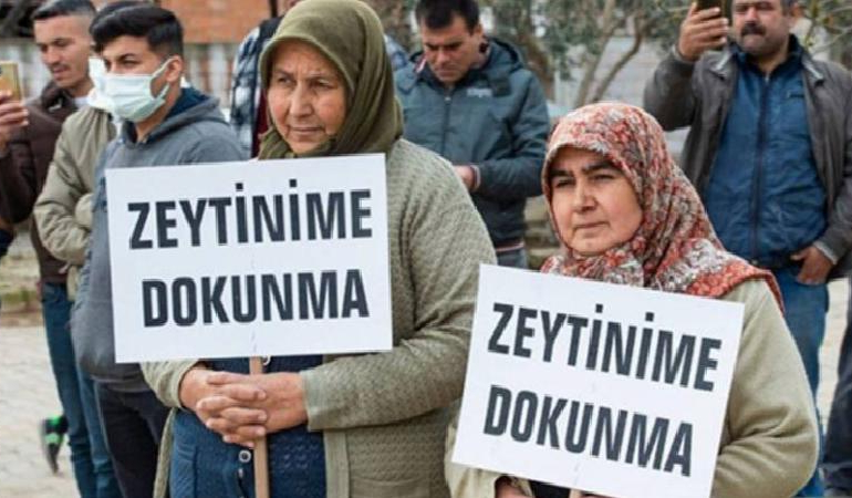 Zeytinlikleri madenlere açan tartışmalı madde TBMM’de kabul edildi