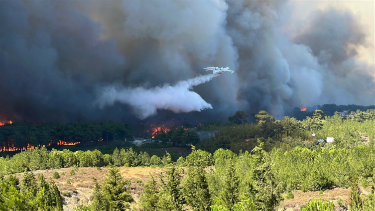 Çanakkale, Bolu ve Manisa’da Orman Yangını