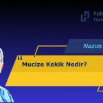 NAZIM PEKER