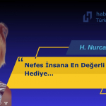 NURCAN YAZICI