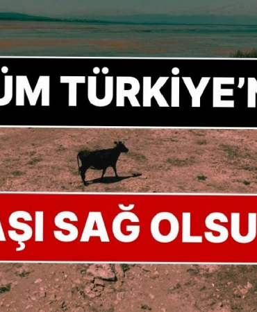 beysehir-golu-vefat-etti-tum-turkiyenin-basi-sag-olsun-aYefS2QI.jpg