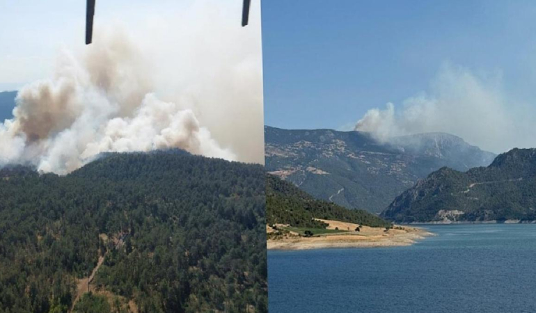 Sinop’ta orman yangını! Evler tahliye ediliyor