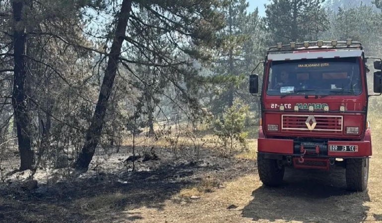 Sinop’ta Orman Yangınına Müdahale Sürüyor