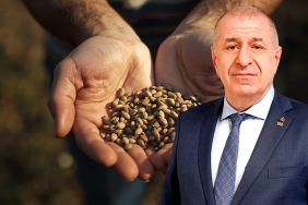 Ümit Özdağ, tohum