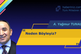 A. YAĞMUR TUNALI