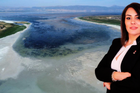 Ümit Özdağ, tohum