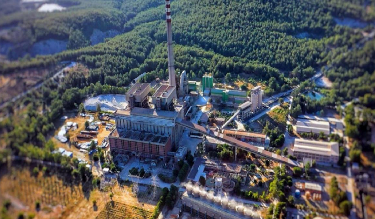 Vahşi Madenciliğe tepki: Zeytin ağacını kökünden sökmek toprakla anlaşmayı bozmak gibidir