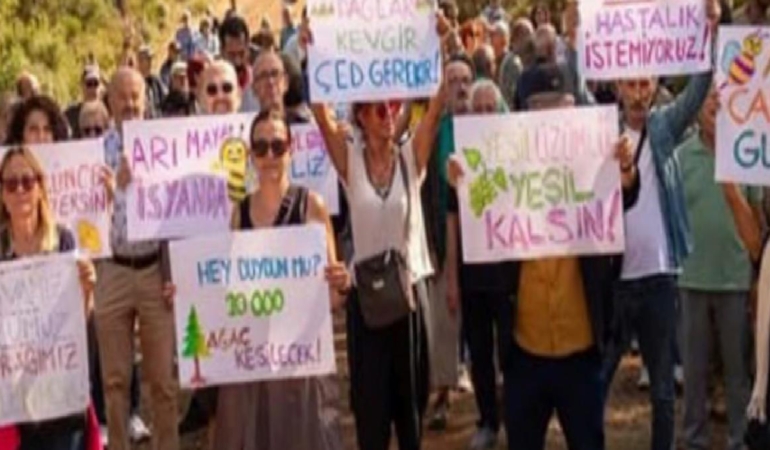 Yayla bizim su bizim eylemi “Kararlar masa başında değil bu dağlarda alınsın”