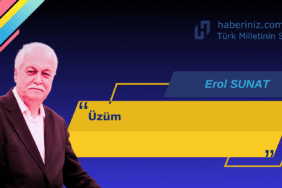 EROL SUNAT