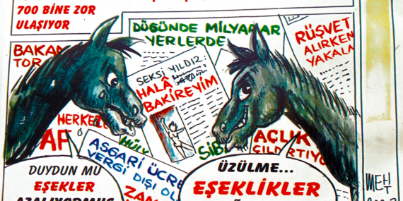 Mehmet Özkendirci – Rize ilimizde sadece 1 eşek yaşıyor